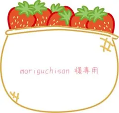 ◾︎ moriguchisan 様専用です ◾︎