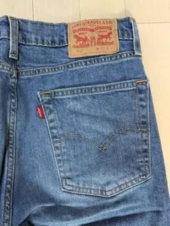 LEVI'S 510 ストレートデニム W32 L32