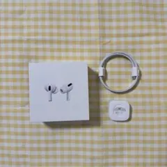 Apple AirPods Pro 空箱 イヤーピース ライトニングケーブル付き