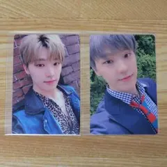 SEVENTEEN An Ode トレカ ディノ