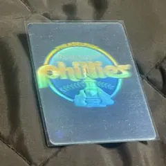 Item thumbnail for item 698a6292-ef6e-431d-a18b-2fa49a747c0f