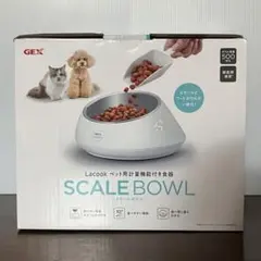 Item thumbnail for item e44f445f-ff44-4a60-8d96-2252eaa0bed0