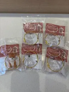 わんこのタイムカプセル4種コンプセット