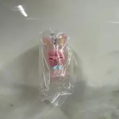 チャンビン めじるしアクセサリー