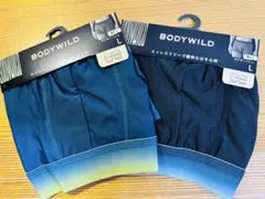 ボディワイルド BODY WILD ボクサーパンツ L 2枚 EZX