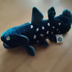 カロラータ　シーラカンス　ぬいぐるみ　Sサイズ　深海魚　古代魚