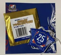 横浜F・マリノス ビクトリー アクリルお守り星型 25 鈴木冬一
