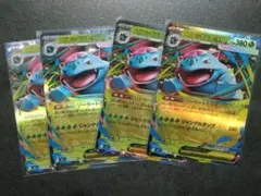 メガフシギバナex RR 4枚