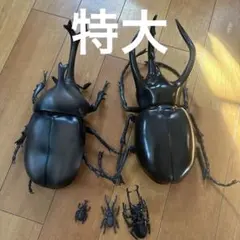 Item thumbnail for item f96fb496-87ab-4121-86bd-b688c416232d