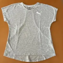 puma レディースTシャツ