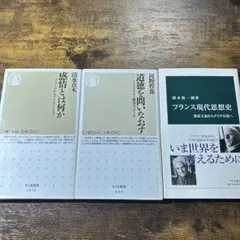 哲学・思想史　新書セット