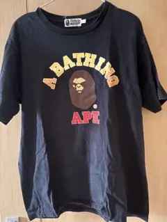 Item thumbnail for item 86474c8d-db4f-42f0-9779-25e698e4a6ae