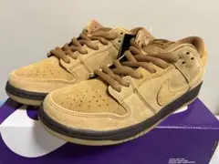 Nike SB Dunk Low Pro 
