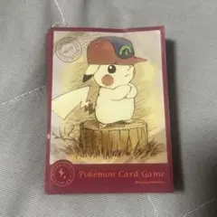 ぼうしをかぶったピカチュウ ホウエン　デッキシールド デッキシールド『(ホウエン)ぼうしをかぶったピカチュウ※』64枚