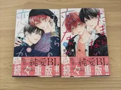 BL たまらないのは恋なのか 2冊まとめ売り