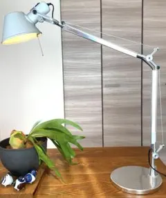 アルテミデ ヤマギワ トロメオ ミニ　mini yamagiwaー2