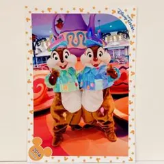 ディズニー スペシャルフォト 2014 イースター チップ デール