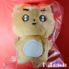 2025年最新】txt テヒョン ぬいぐるみ マスターの人気アイテム - メルカリ