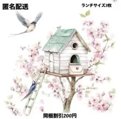 norinori様 リクエスト 10点 まとめ商品