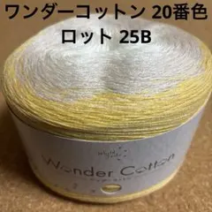 nenè ᵕ̈*様 リクエスト 2点 まとめ商品