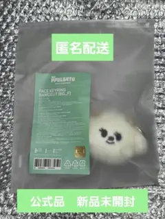 TXT バムグッ　フェイスキーリング　ボムギュ　キーリング　公式　トゥバ