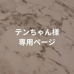 テンちゃん様専用