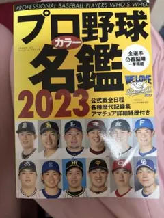 Item thumbnail for item d586d528-d1dc-4137-a166-24b819574255