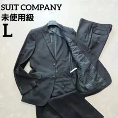 【未使用級】メリノクール　サマースーツ　清涼感　通気性抜群　ブラック　L　春夏