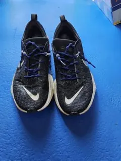 ナイキインヴィンシブルラン3 27.5