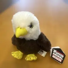 Item thumbnail for item 5028a6d7-3d95-4f52-94f0-2ba3a22ab5a4