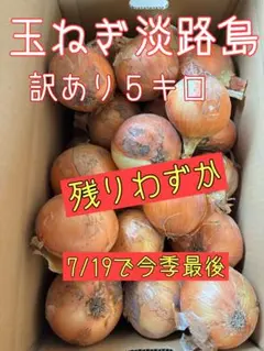 玉ねぎ淡路島　訳あり５キロのサムネイル