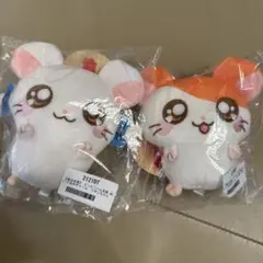 ララピー ぬいぐるみ にしだあつこ ライフ スーパー限定 - メルカリ