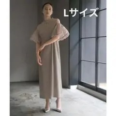 新品未使用 ANAYI アナイ モクロディ刺繍袖ワンピース ピンク 38