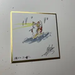 コ*キ様 洞くつコーギー