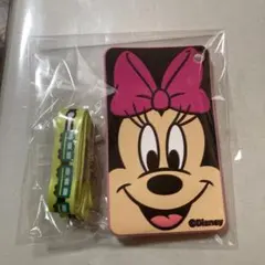 限定品 ディズニー パスケース　ミニーマウス