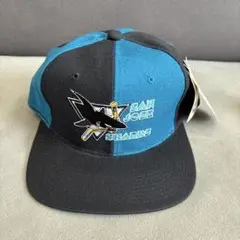 タンパベイ ライトニングスターター NHLホッケー VTGウールスナップ