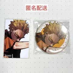 ヒロアカ ジャンプGIGA 十傑 新十傑 缶バッジ 応募者全員サービス
