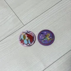 ディズニー刺繍缶バッチ　アラジンと眠れる森の美女