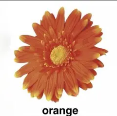 ニックネーム様専用