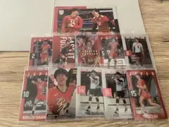 男子バレー日本代表　トレーディングカード&ポストカード