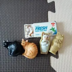 猫 セット売り