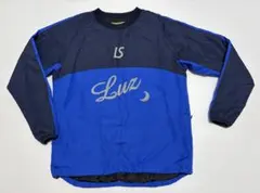 Item thumbnail for item 5922ea18-1928-4cf3-a661-2dd9ac09487a