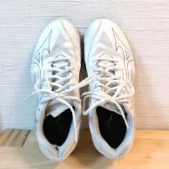 Item thumbnail for item 30c61eba-0658-4154-af57-736a5a88779c