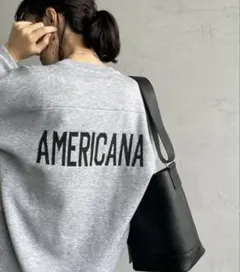 アメリカーナ×ジーンズファクトリー　別注 バックロゴデザインジャガードニット