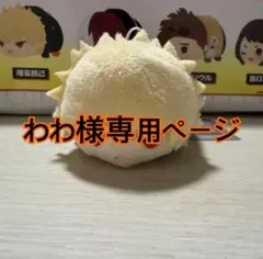 わわ様専用ページ