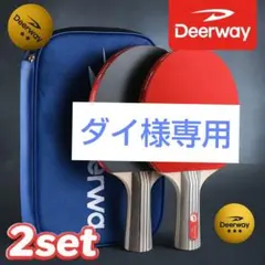 1921 卓球ラケット 2本セット + ケース付 ボール 初心者 中級者