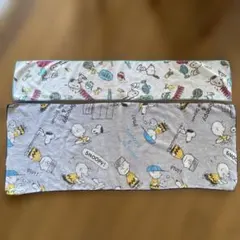 Item thumbnail for item 38024894-4bb4-457f-9012-18d67e48b1ca