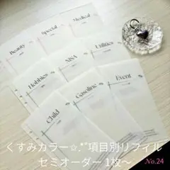 貯金リフィル セミオーダー項目別 くすみカラー 6穴 家計管理（No.24）