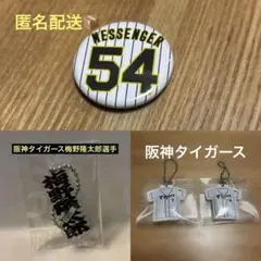 2026年最新】阪神タイガース メッセンジャーの人気アイテム - メルカリ