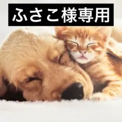ふさこ様専用